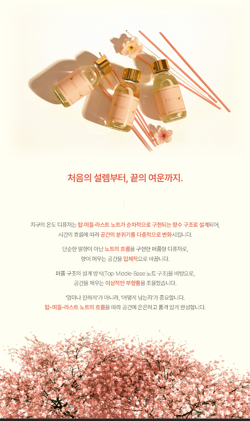 체리블라썸 모먼트 프리미엄 디퓨저